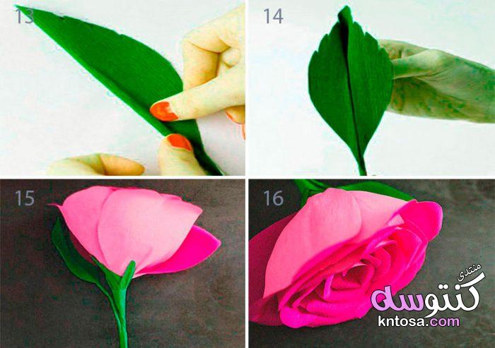 طريقة عمل وردة بالورق سهلة,طريقة عمل وردة بالورق بالصور,طريقة صنع ورد من الورق الملون للديكور2019 kntosa.com_01_19_155
