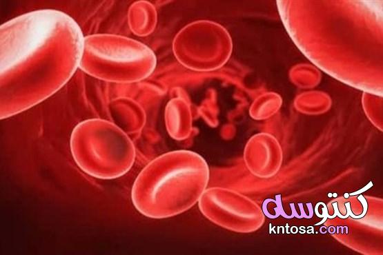 فقر الدم الخبيث.. أسباب وأعراض kntosa.com_01_19_157