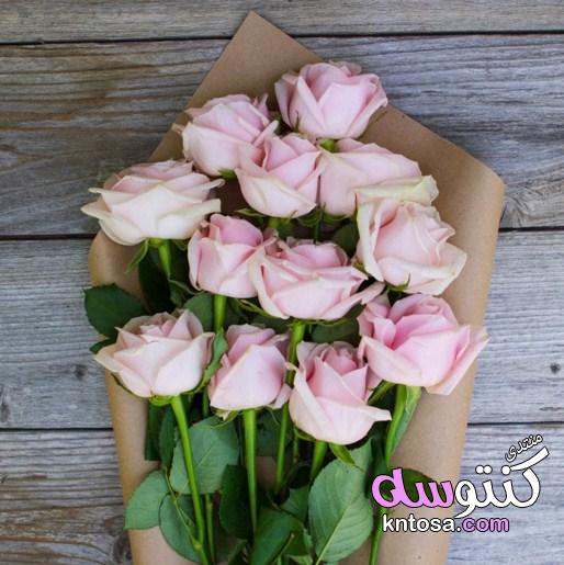 أجمل باقات الزهور,اجمل باقات الورد الطبيعي,اجمل الورود الرومانسية,باقات ورد هدايا,باقات ورد جوري kntosa.com_02_19_155