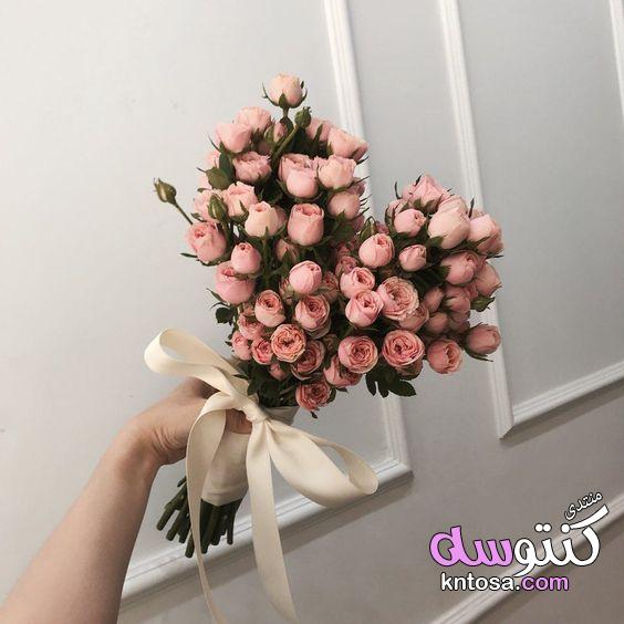 اجمل باقات الورد الطبيعي,اجمل باقة ورد رومانسية,اجمل الورود الرومانسية,اشكال باقات ورد هدايا,ورد حلو kntosa.com_02_19_155