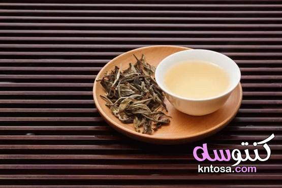 هل سمعت عن الشاي الأبيض؟،8 فوائد وفيرة من الشاي الأبيض لصحة جسمك،فوائد الشاي الأبيض للصحة kntosa.com_02_19_157