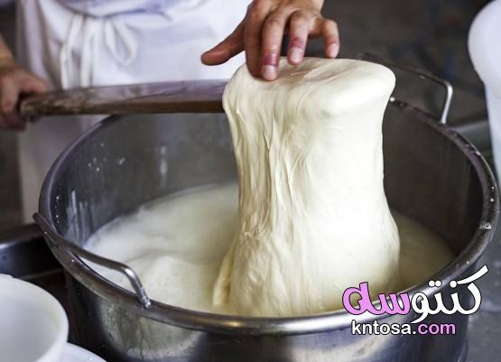 طريقة عمل الجبنة الموزاريلا والجبنة الشيدر في المنزل بأسهل الطرق kntosa.com_02_21_161