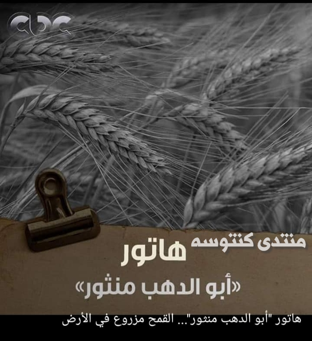 بالصور علاقة الشهور القبطية بالزراعة والجو,أقوال مأثورة للشهور عن المصريين قديما kntosa.com_03_18_154