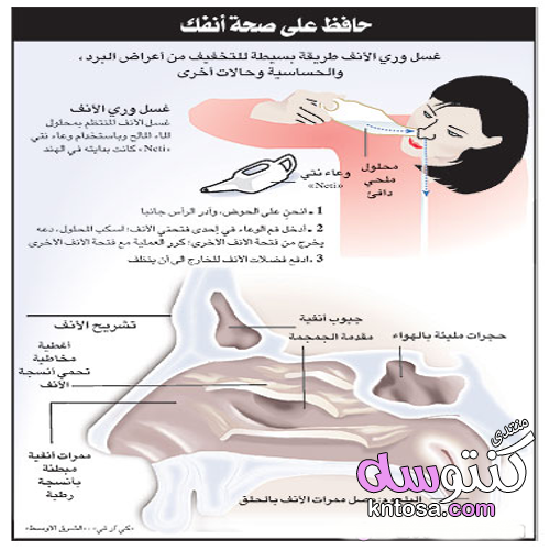 حساسية الأنف(حمى القش)تعريفها وأسبابها وأعراضها وعلاجها kntosa.com_03_19_155