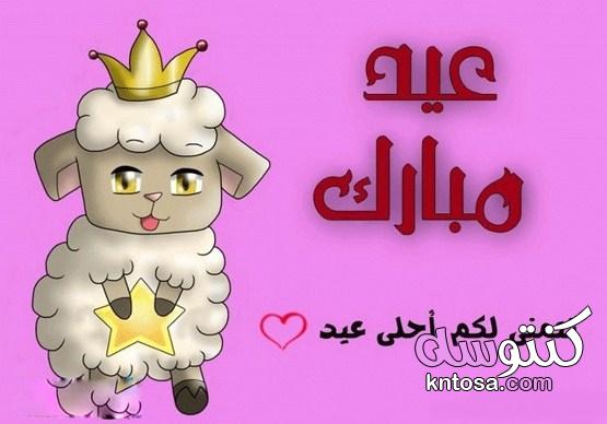 بطاقات تهنئة بعيد الاضحي ، صور عيد اضحى مبارك ، خلفيات عيد سعيد 2020 kntosa.com_03_19_156