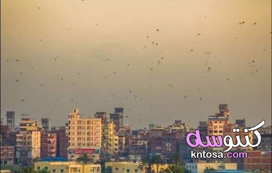 صور الطائرات الورقيه في سماء القاهرة ⁦ kntosa.com_03_20_159