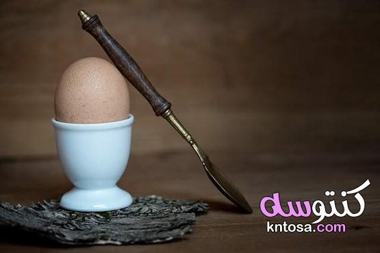 من البيض المسلوق إلى البيض المسلوق ، نقول لك كل شيء! kntosa.com_03_21_161