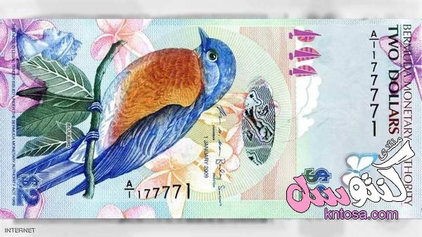 لوحات فنية حقيقية من العملة,أجمل 10 عملات ورقية في العالم kntosa.com_04_18_153
