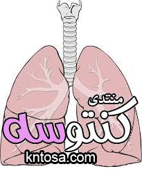 الجهاز التنفسى,حقائق مهمة عن جهازك التنفسى وتبادل الغازات بداخلك kntosa.com_04_18_154