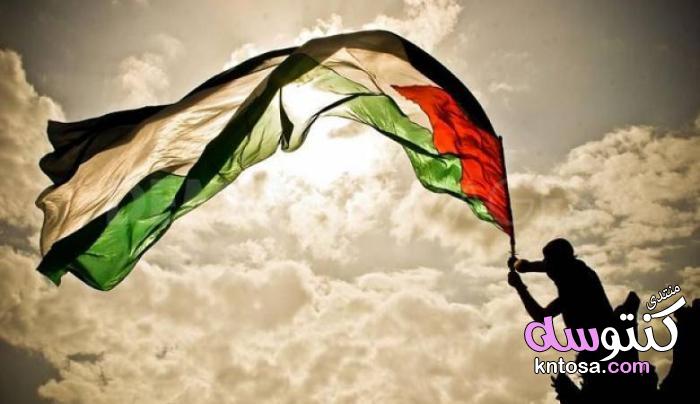 احلى صور علم فلسطين,صور علم فلسطين,رمزيات وخلفيات العلم الفلسطيني,علم فلسطين فيس بوك kntosa.com_04_19_154
