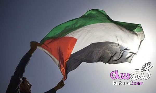 احلى صور علم فلسطين,صور علم فلسطين,رمزيات وخلفيات العلم الفلسطيني,علم فلسطين فيس بوك kntosa.com_04_19_154