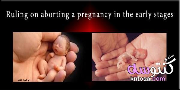 Ruling on aborting a pregnancy in the early stages kntosa.com_04_19_155