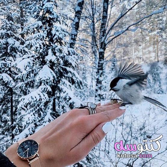 سحر الطبيعة فى الشتاء،صور مناظر طبيعية للشتاء 2020 جميلة،مناظر طبيعية، مناظر طبيعية جميلة خلفيات kntosa.com_04_19_157