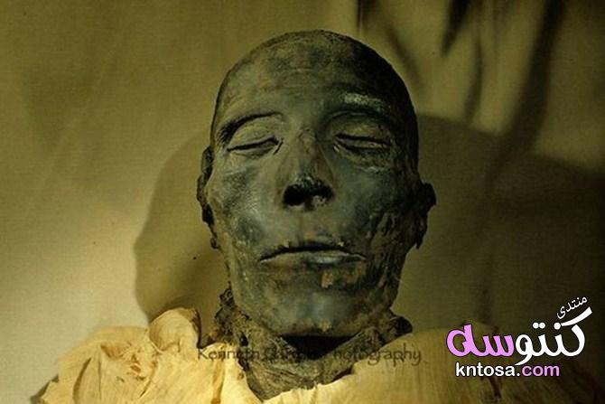صور مومياء الملك "سيتى الأول" بالمتحف المصرى kntosa.com_05_19_154