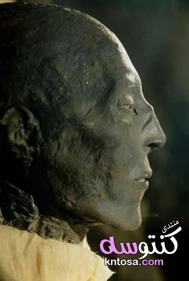 صور مومياء الملك "سيتى الأول" بالمتحف المصرى kntosa.com_05_19_154