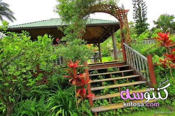 حدائق ماوي,أفضل 10 حدائق ومتنزهات في ماوي,جزيرة ماوي kntosa.com_05_19_154