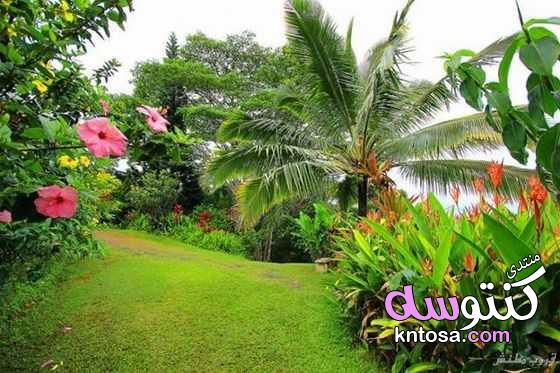 حدائق ماوي,أفضل 10 حدائق ومتنزهات في ماوي,جزيرة ماوي kntosa.com_05_19_154