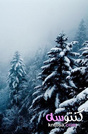 اروع صور الثلوج فى الشتاء،صور عن الثلج 2020،صور عن الشتاء , اروع صور للشتاء امطار و ثلوج kntosa.com_05_19_157