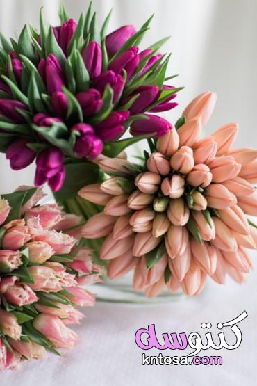 اجمل صور باقات ورد طبيعي،صور بوكيه ورد 2019،اجمل صور بوكيه ورد بأشكال رائعة bouquet of flowers kntosa.com_05_19_157