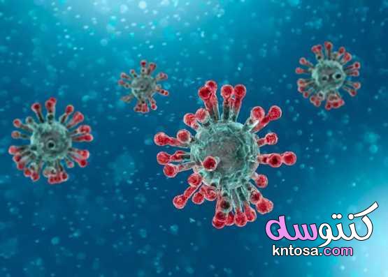 فيروس كورونا المستجد.. ما هو وما أعراضه وكيفية الوقاية منه أعراض فيروس كورونا الوقاية من فيروس كورون kntosa.com_05_20_158