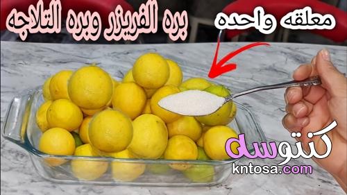 مش هتتسغني عنها.. تخزين الليمون من السنه للسنة بأسرار التجار الحقي خزني أكبر كمية kntosa.com_05_22_164