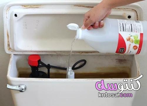 منظف المرحاض الطبيعي diy + 6 نصائح لتنظيف المرحاض kntosa.com_05_22_164