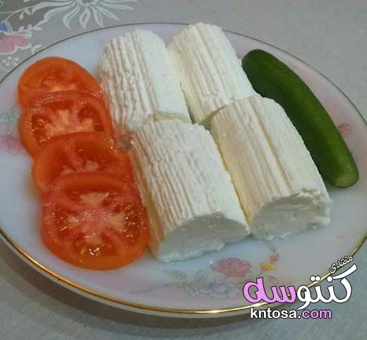 طريقة عمل الجبن القريش فى البيت وحصرى kntosa.com_06_18_154