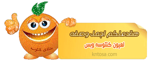 طريقة عمل كرات البطاطس المقلية بالصور,طريقة تحضير كرات البطاطس المقلية بالصور kntosa.com_06_19_154