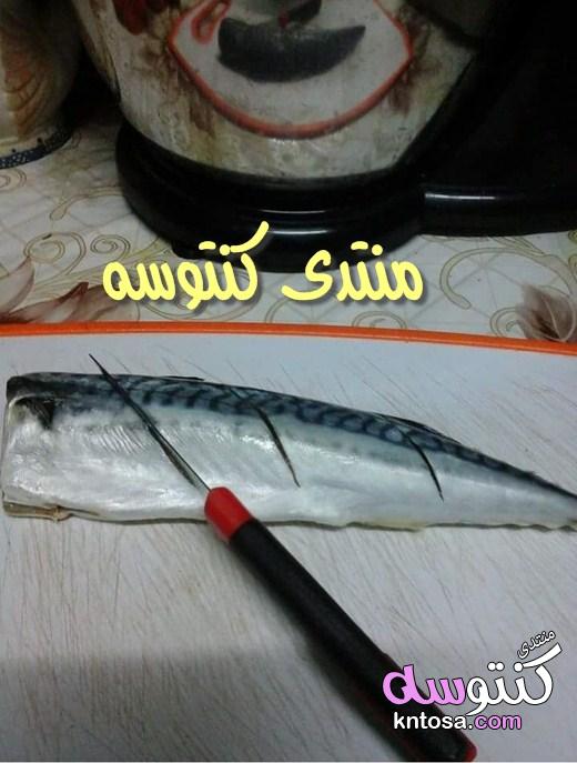 طريقة عمل سمك الماكريل فى الفرن,صينية سمك ماكريل في الفرن بتتبيلة خطيرة .طعمها يجنننننن بالصور kntosa.com_06_19_154
