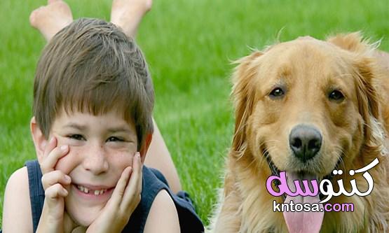 كيف تؤثر الكلاب على صحة الأطفال النفسية؟ الكلاب الأليفة 2020 kntosa.com_06_19_157
