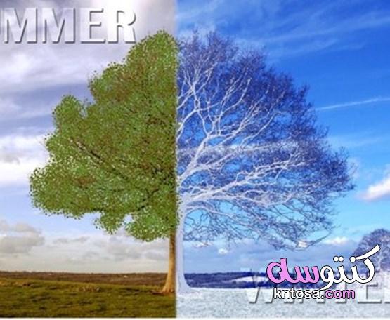 الصيف أم الشتاء.. كيف تتحدد ملامح الشخصية بناء على الفصل المفضل؟ فصول السنة 2020 kntosa.com_06_20_158