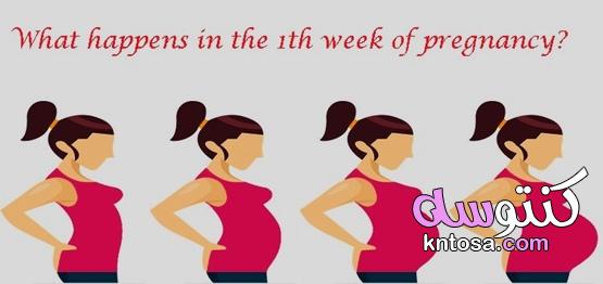 كيفية الحفاظ على الحمل في الايام الأولى kntosa.com_06_20_159