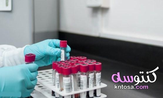 معلومات تفصيلية عن تحليل البروتين kntosa.com_06_21_163
