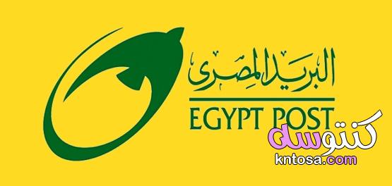 استعلامات البريد المصري بالتفصيل