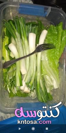 تخزين الخضروات الورقيه طازجه لمدة شهرين،كيفية حفظ الخضروات الورقية،طريقة تفريز الخضروات الورقيه kntosa.com_07_19_157