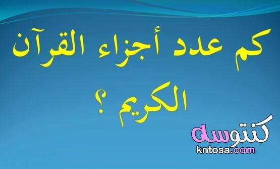 كم عدد أجزاء القرآن الكريم kntosa.com_07_21_163