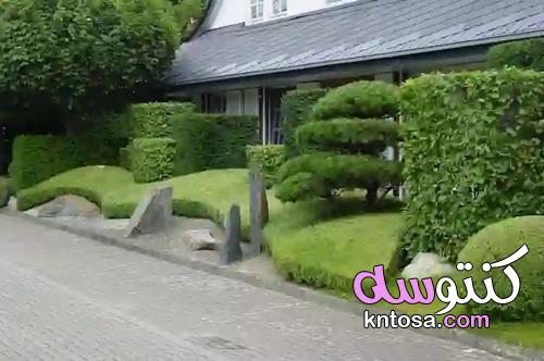 7 أفكار لزراعة مدخل منزلك kntosa.com_07_21_163