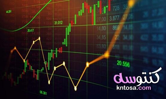معلومات تفصيلية عن الاستثمار في الأسهم kntosa.com_07_22_164