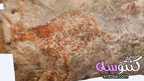 العثور على أقدم نموذج لرسوم الحيوانات يعود لـ 40 ألف عام 2019 kntosa.com_08_18_154