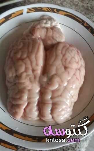 احسن طريقة لعمل المخ,طبخ مخ الخروف من المطبخ الخليجي بالصور,طريقة عمل طريقة طبخ مخ الخروف kntosa.com_08_18_154