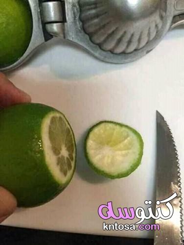 بالصور بقالنا سنين بنعصر الليمون غلط , طريقة عصر الليمون فى 5 دقائق kntosa.com_08_19_156