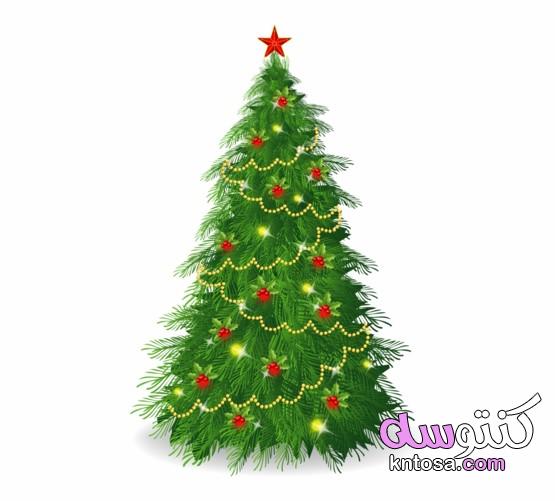 شجرة الكريسماس رسم، تزيين شجرة الكريسماس،شجرة الكرسمس 2020،اشكال شجرة الكريسماس kntosa.com_08_19_157