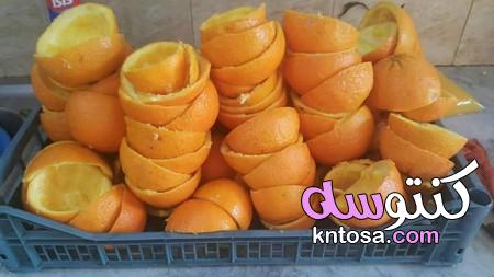 طريقة عمل عصير البرتقال المركز وحفظه kntosa.com_08_20_158