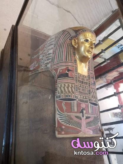 بالصور المتحف المصري الكبير kntosa.com_08_20_159