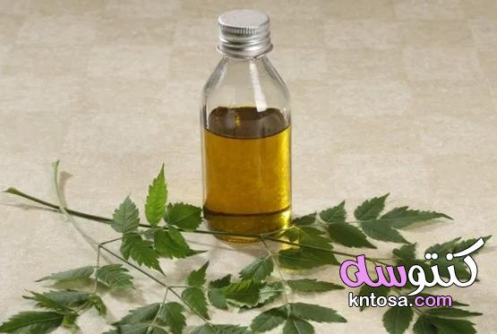 8 طرق لاستخدام الليلك الهندي كعلاج طبيعي للأكزيما kntosa.com_08_20_160