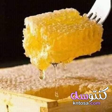 فوائد شمع العسل kntosa.com_08_21_161