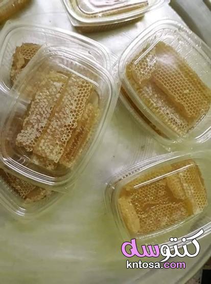 فوائد شمع العسل kntosa.com_08_21_161
