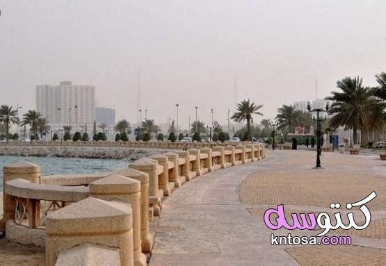 اجمل مدينة سعودية kntosa.com_08_21_161