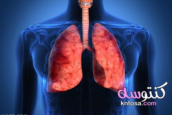 أمراض الجهاز التنفسي kntosa.com_08_21_161