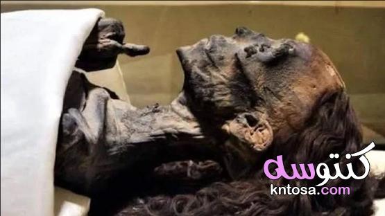 وصفة فرعونية للشعر اكتشاف سر شعر مومياوات الفراعنة الحريري حتى الآن بعد 3000 سنة kntosa.com_08_21_161